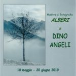 Alberi / Dino Angeli > Solesino