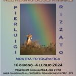 Nel Regno degli animali - Pierluigi Rizzato